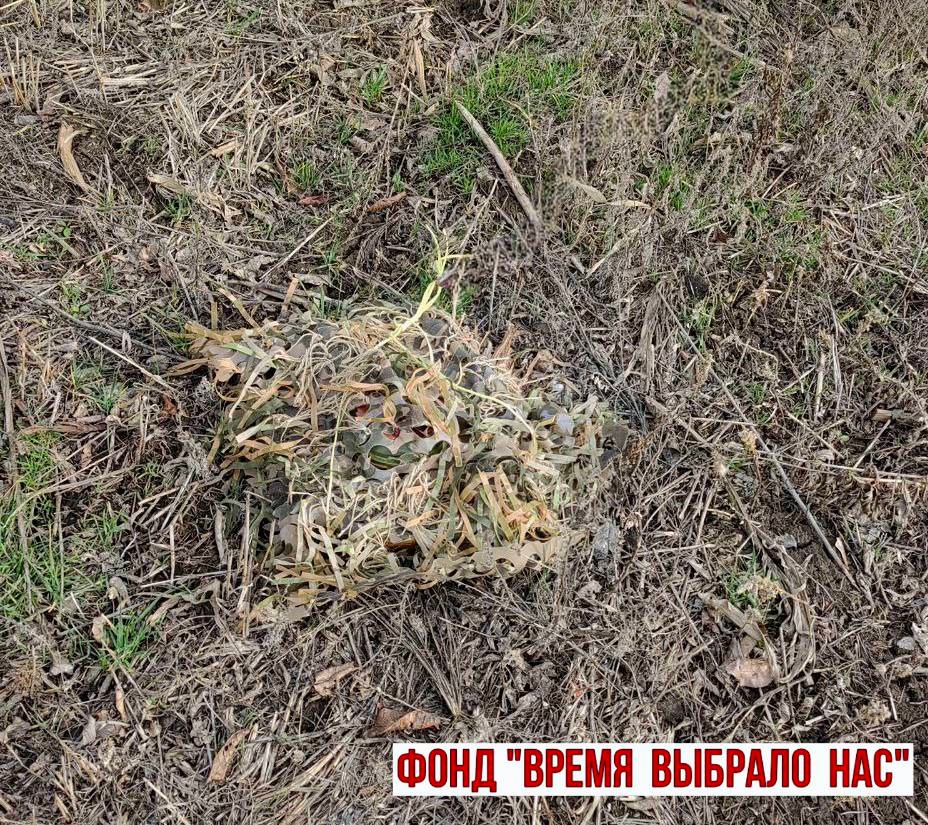 СМОТРИ ПОД НОГИ. СЛУШАЙ НЕБО.