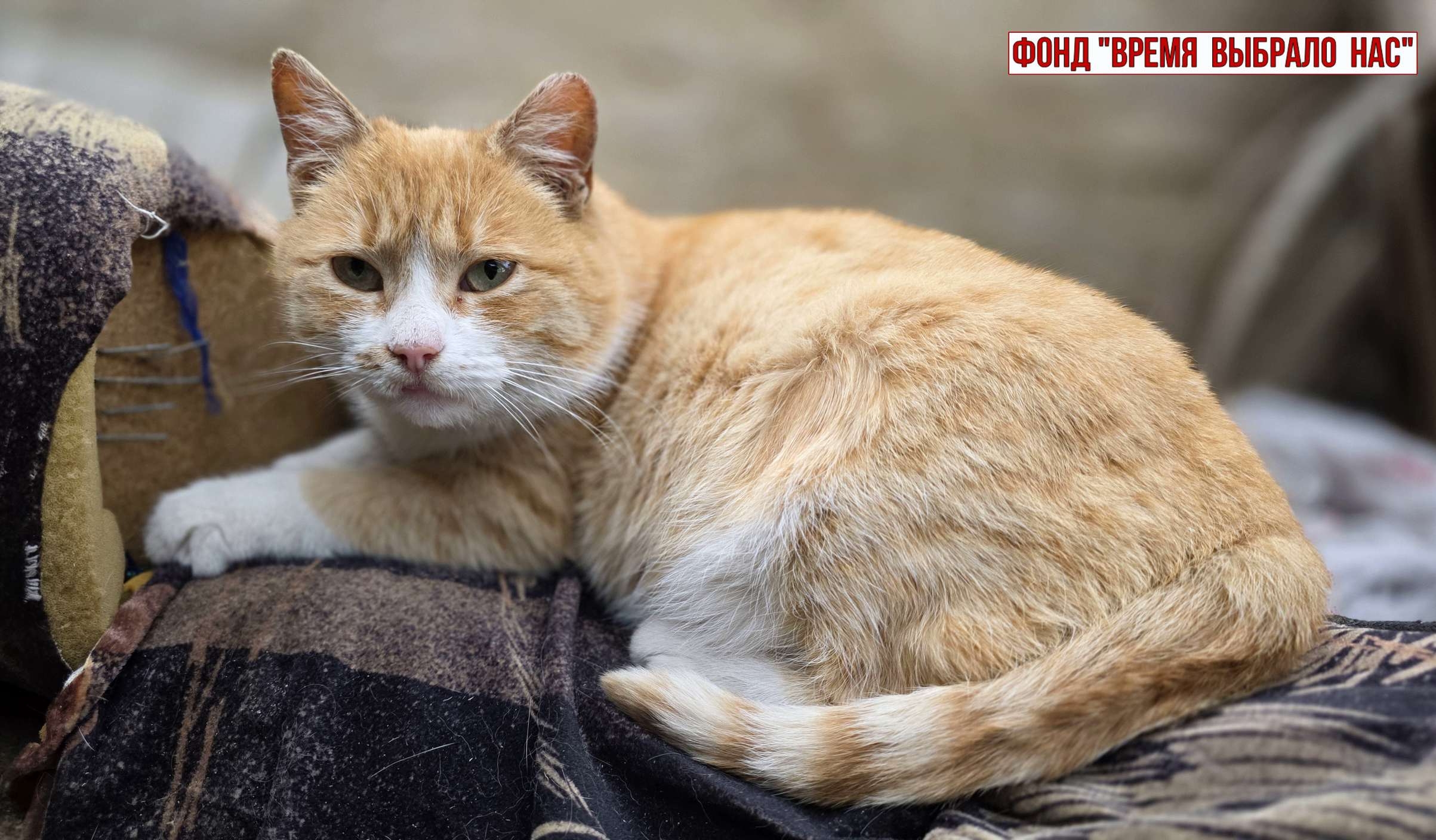 ВОЙНА, ПУТЕВЫЕ ЗАМЕТКИ